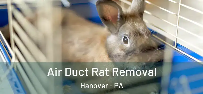  Air Duct Rat Removal Hanover - PA