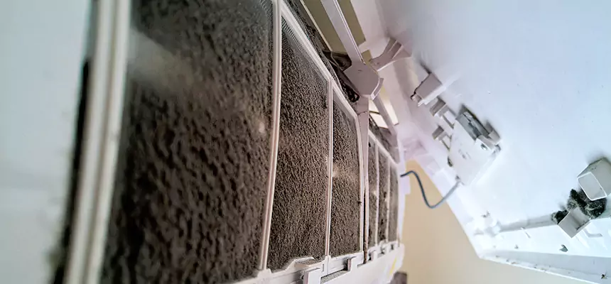 Preventive Air Duct Bacteria Removal in Hanover