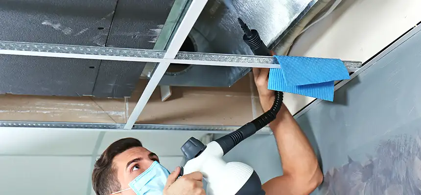 Our Air Duct Rodent Removal Services in Hanover, PA