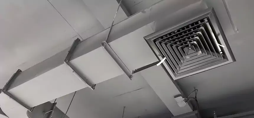 Restorative Allergy Relief Vent Cleaning – Coil, Blower & Housing Detail in Hanover