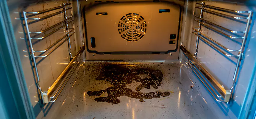 Our Dryer Vent Mold Cleaning Services in Hanover, PA