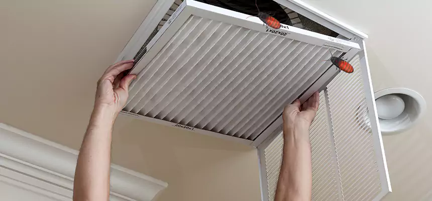Our Insect Removal from Air Ducts Services in Hanover, PA