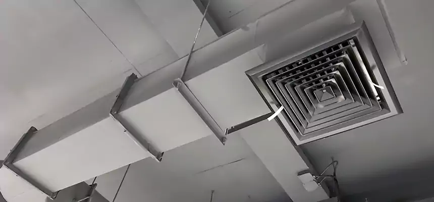 Our Pest Removal From Ducts Services in Hanover, PA