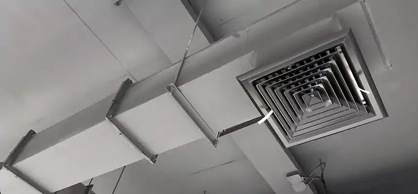 Our Rodent Droppings In Vents Services in Hanover, PA