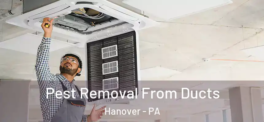  Pest Removal From Ducts Hanover - PA