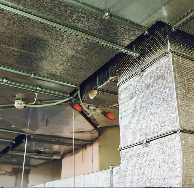 Why Homeowners & Businesses Trust Us in Hanover, PA?