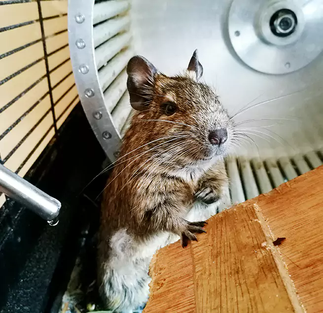 Why Homeowners & Businesses Trust Us Hanover, PA